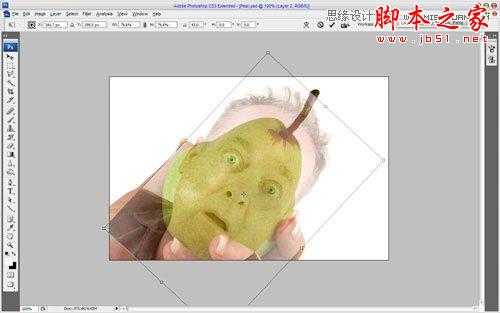 Photoshop合成合成制作逼真鸭梨人像效果