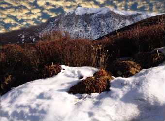 Photoshop合成梦幻唯美的雪山上白色天使