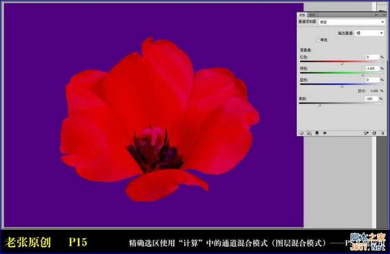 Photoshop通过计算命令无限改变花的颜色图文教程