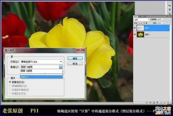 Photoshop通过计算命令无限改变花的颜色图文教程