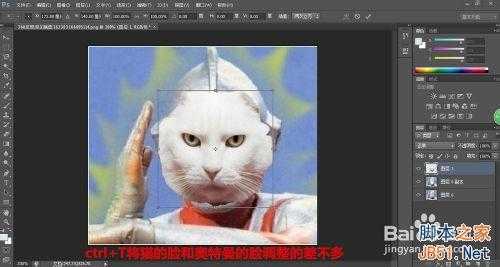 photoshop把可爱的动物变成奥特曼教程