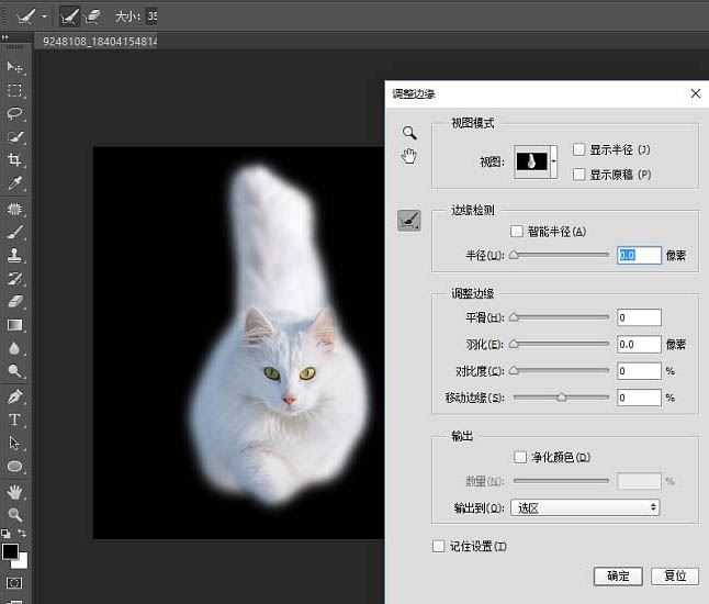 ps精细抠图利用调整边缘快速抠出白色可爱猫咪图片教程
